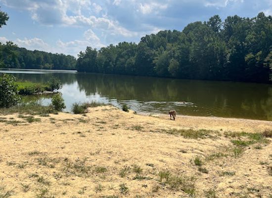 delaware/lums-pond-state-park/bar/lums-pond-dog-park
