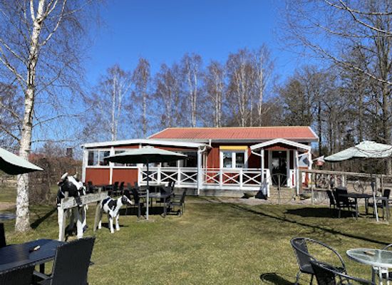 sweden/smaland/bar/visingso-svensgardens-gardsbutik