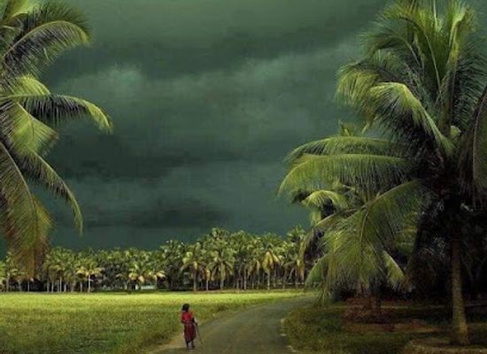 sri-lanka/mannar-district/bar/blessy-hotel-cool-bar