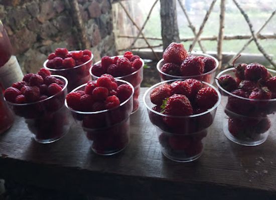 georgia/vardzia/bar/kafe-bari-kakhisi