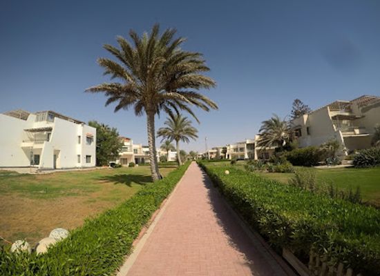 egypt/suez-canal-zone/bar/pool-bar-royal-beach-resort