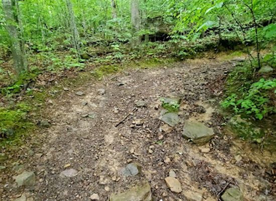 kentucky/sheltowee-trace-national-recreation-trail/bar/sheltowee-trace-mckee-trailhead