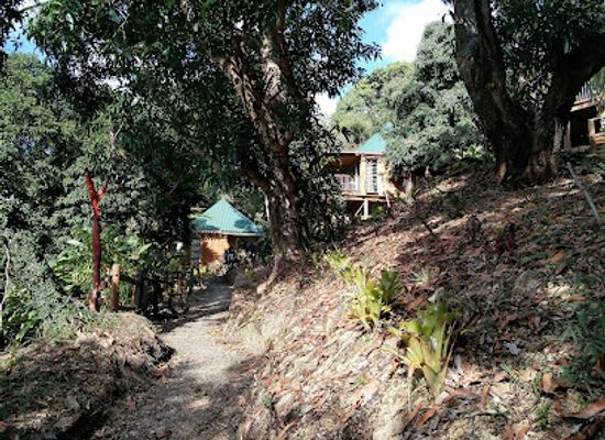 new-caledonia/hienghene/bar/office-de-tourisme-de-hienghene