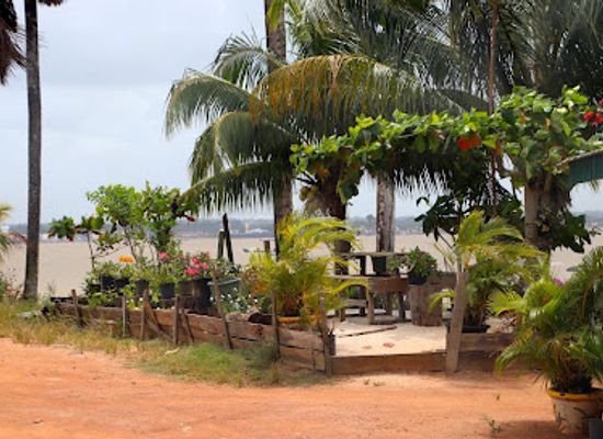 suriname/marowijne-district/bar/agies-roti-place