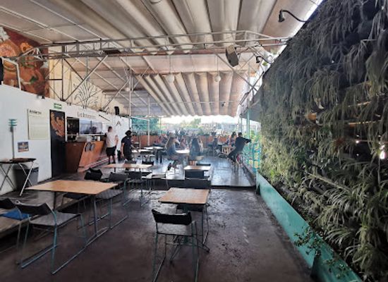 mexico/gulf-coast/bar/pulqueria-los-insurgentes