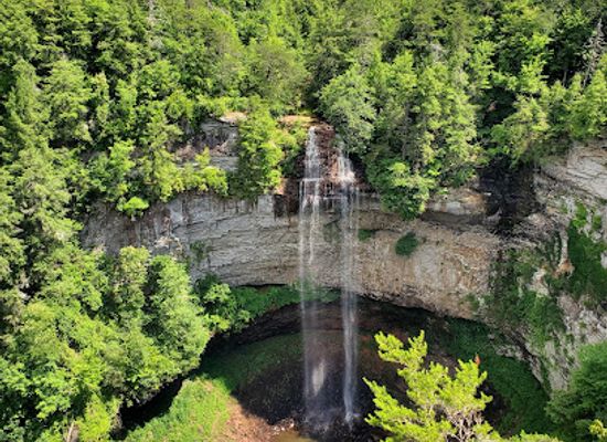 tennessee/fall-creek-falls-state-park/bar/fall-creek-falls-betty-dunn-nature-center