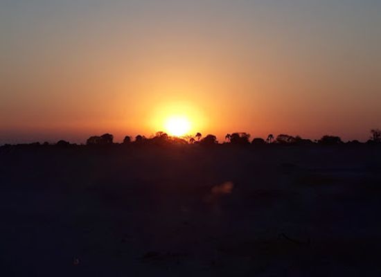 namibia/oshana/bar/green-bar