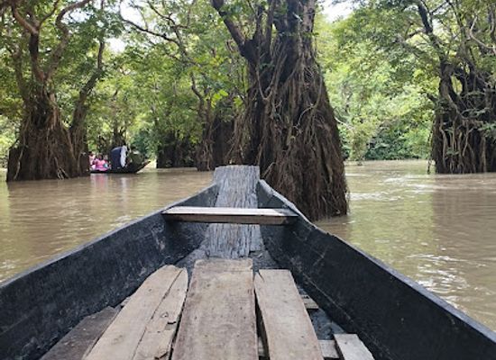 bangladesh/ratargul-swamp-forest/bar/chaurangi-ghat-ratargul