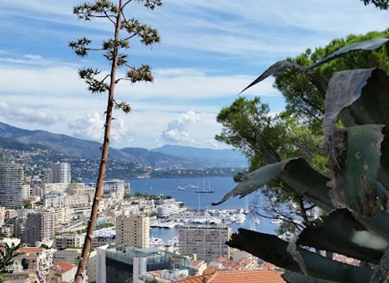 monaco/jardin-exotique/bar/bar-azur