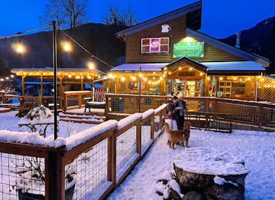 washington/mount-baker/bar/wake-n-bakery