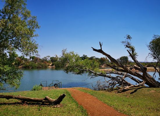 zambia/kalambo-falls-area/bar/the-elephant-cafe-livingstone