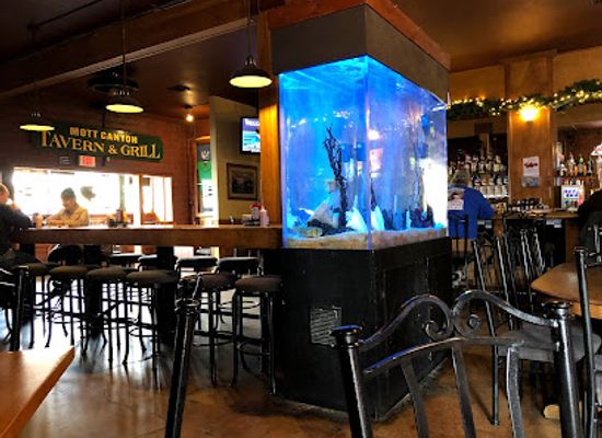 california/lake-tahoe/bar/mott-canyon-tavern-grill