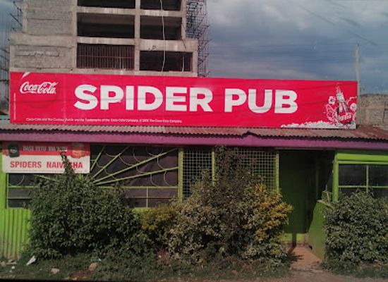 kenya/naivasha/bar/spider-pub