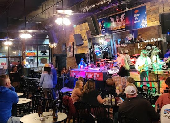 arkansas/pinnacle-mountain-state-park/bar/willy-d-s-rock-roll-piano-bar
