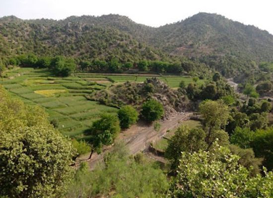 afghanistan/pushtunistan/bar/kabul-khost-restaurant