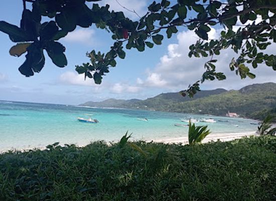 seychelles/ile-aux-serpents/bar/kafe-kreol-cafe-restaurant