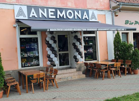 romania/bistrita-nasaud/bar/anemona