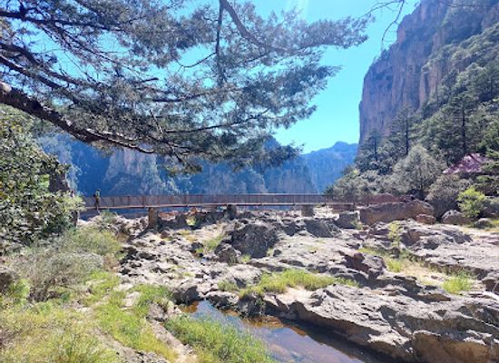 mexico/tarahumara-sierra/bar/cascada-basaseachi