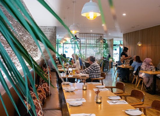 new-zealand/hawke-s-bay/bar/malo