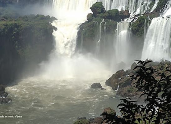 argentina/iguazu-falls-national-park/bar/jungle-restaurante-puerto-iguazu