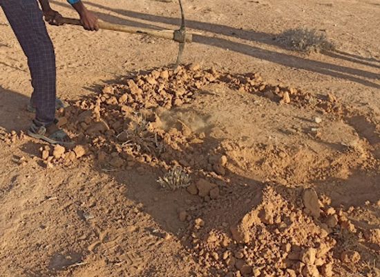 somalia/sool/bar/baraaagta-abdi-mahad