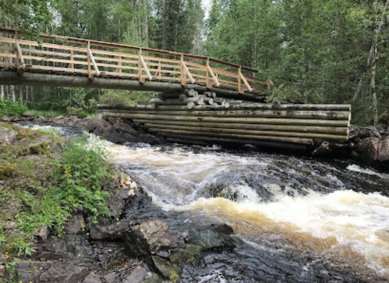 finland/hossa-national-park/bar/lounatkoski