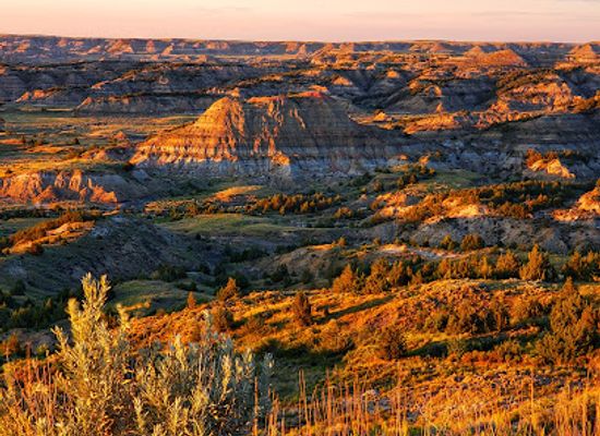 north-dakota/theodore-roosevelt-national-park/bar/theodore-roosevelt-national-park