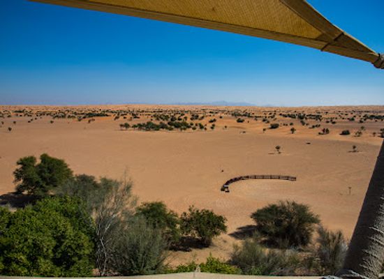 united-arab-emirates/dubai-desert-conservation-reserve/bar/hajar-terrace-bar