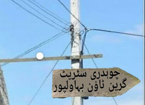 pakistan/cholistan-desert/bar/choudhry-road-green-town-bahawalpur