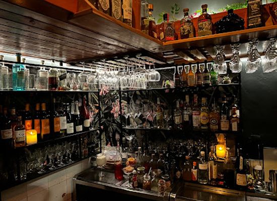 spain/valencia/el-carmen/bar/botanista-bar