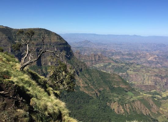 ethiopia/simien-mountains-national-park/bar/simien-mountains