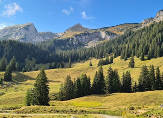 austria/gesause-national-park/bar/huberalm