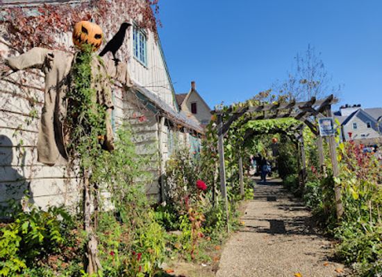 indiana/brown-county-state-park/bar/the-henhouse-bar-at-the-bird-s-nest-cafe