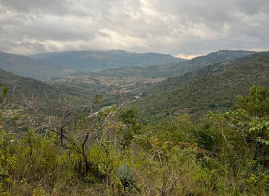 eswatini/usuthu-river-basin/bar/nsangwini-rock-art