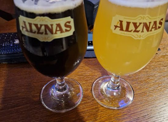 lithuania/trakai-island-castle/bar/alynas