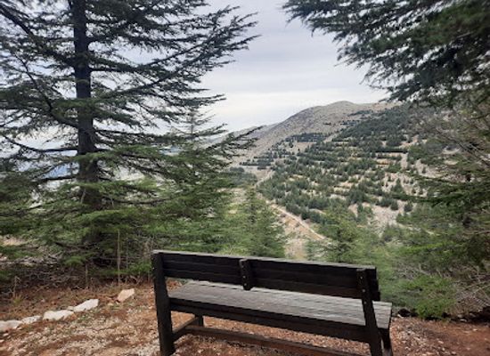 lebanon/al-shouf-cedar-nature-reserve/bar/barouk-reserve