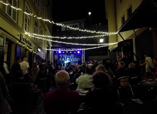 slovenia/maribor/lent/bar/rooster-lent