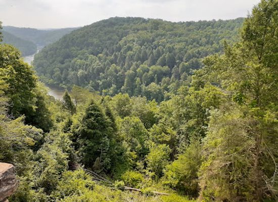 kentucky/cumberland-plateau/bar/riverview-restaurant