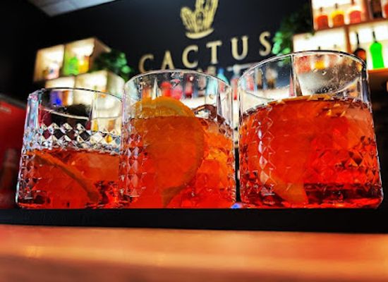 estonia/tartu-county/bar/cactus-bar