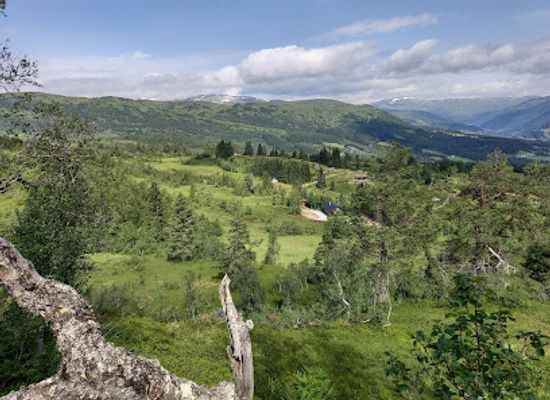 norway/sognefjord/bar/lerheimsstolen