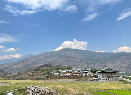 bhutan/punakha-wangdue-valley/bar/vintage-cafe