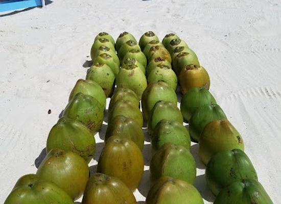 barbados/crane-beach/bar/official-coconut-cocktails
