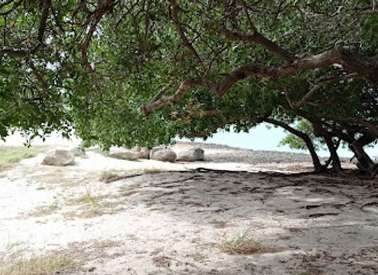 aruba/eagle-beach/bar/beach-club