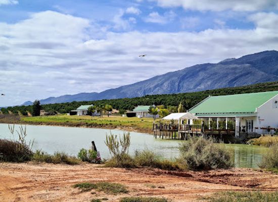 south-africa/cederberg-mountains/bar/salome-s-grapevine