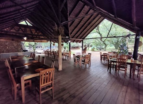 eswatini/mlilwane-wildlife-sanctuary/bar/hippo-haunt