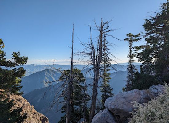 utah/uinta-wasatch-cache-national-forest/bar/uinta-wasatch-cache-national-forest