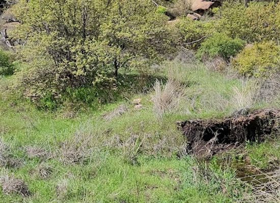 oklahoma/wichita-mountains-wildlife-refuge/bar/wichita-mountains-wildlife-refuge