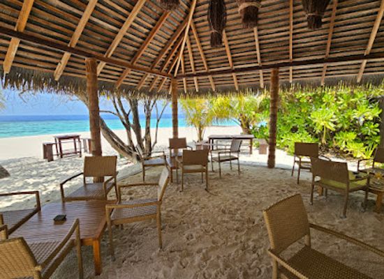 maldives/raa-atoll/bar/albino-bar