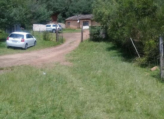 lesotho/qacha-s-nek/bar/qacha-s-nek-snake-park