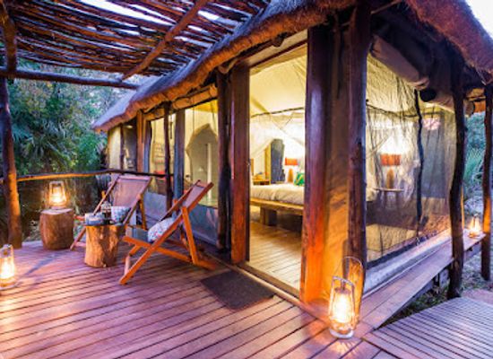 zambia/kafue-national-park/bar/kaingu-safari-lodge